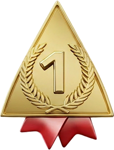 Gold Award