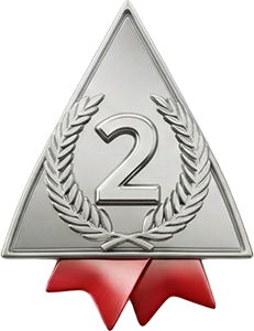Silver Award
