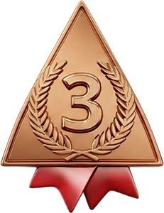 Bronze Award